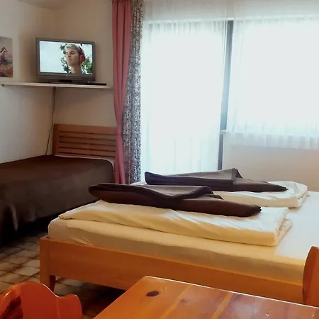 Camping Alpenwelt 게스트하우스 탄하임